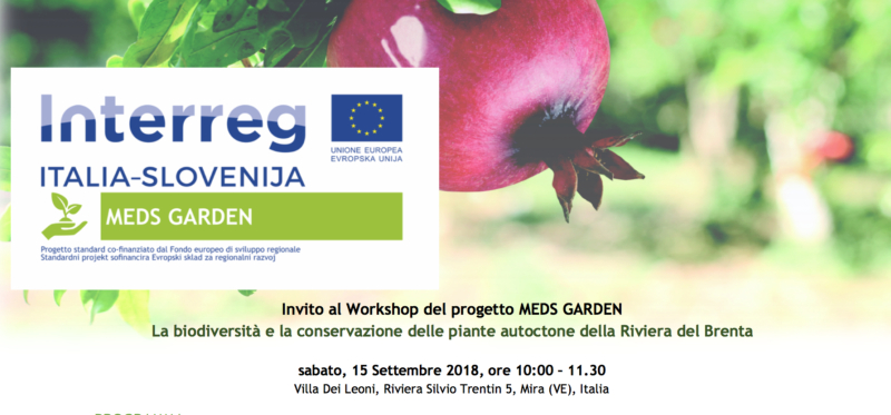 Workshop "La biodiversità e la conservazione delle piante autoctone della Riviera del Brenta"