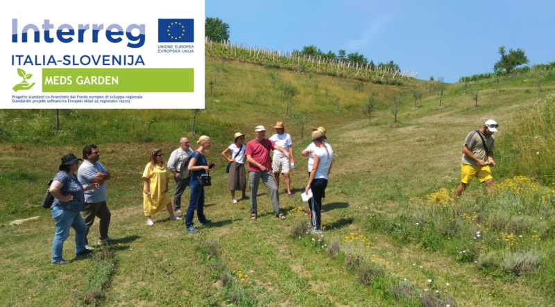 Visita studio del progetto Meds garden su esperienze di agricoltura sociale